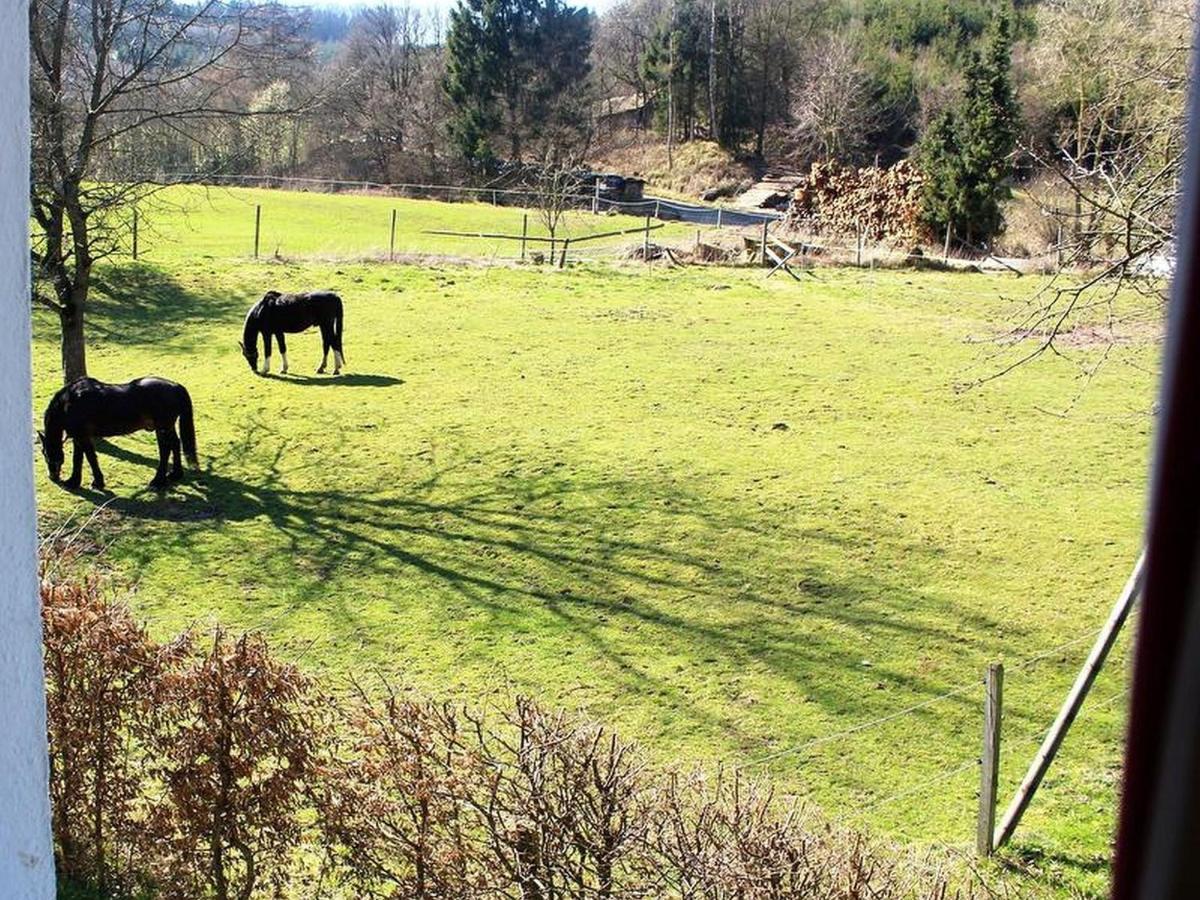 Ferienwohnung Peitz Eslohe Dış mekan fotoğraf